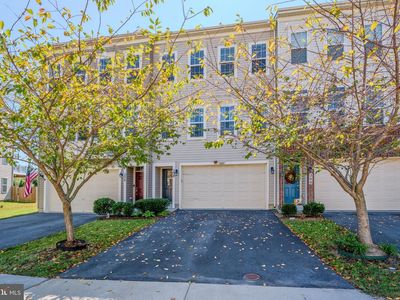 238 Upper Brook Ter