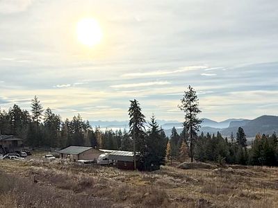 19649 Golden Pine Ln