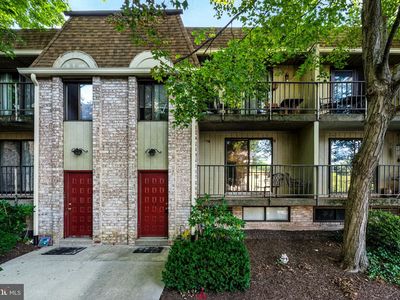 338 Saybrook Ln