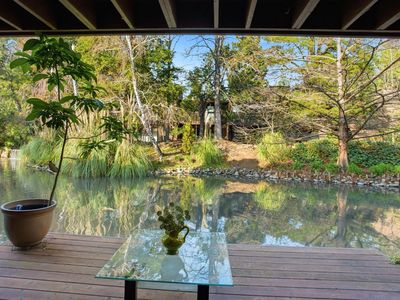 2482 Larkspur Ln APT 181