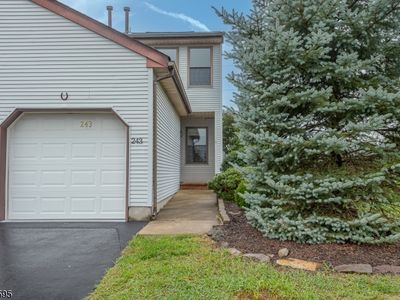 243 Spruce Court