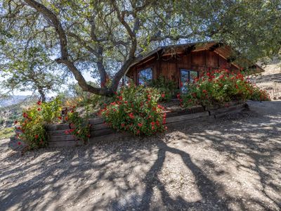 37840 Poppy Tree Ln