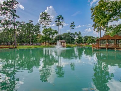 22927 Northoak Forest Ln