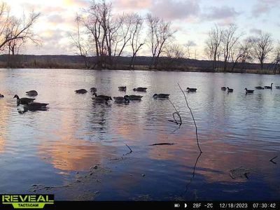 Property at 200 38th Ave W, Hillsdale, IL