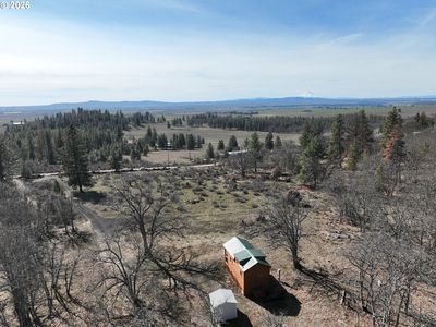 65 Red Cedar