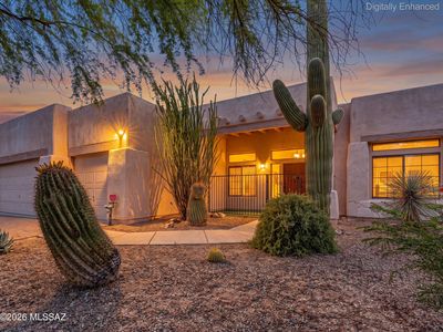 1662 W Silver Berry Pl
