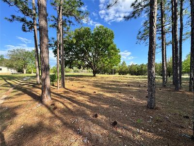 Property at 4551 NE 132nd Ct, Williston, FL