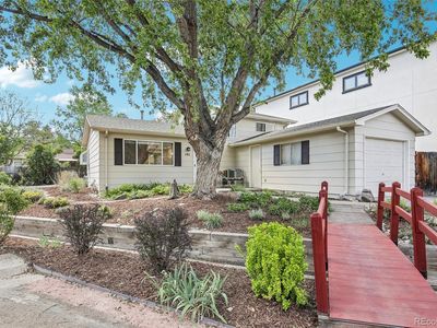 Property at 141 Zephyr Street, Lakewood, CO