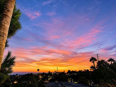 155 Rosebay Dr APT 14
