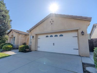 207 Riesling Vines St