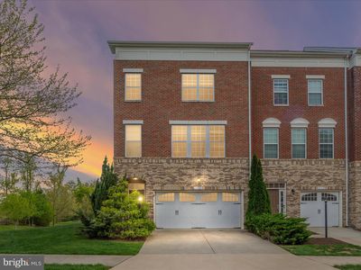 42241 Violet Mist Ter