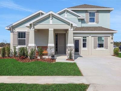 17338 WILD DAISY DRIVE
