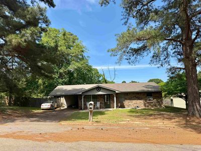 804 Grapevine Rd