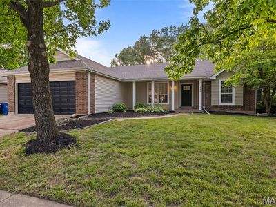 659 Foxtail Dr
