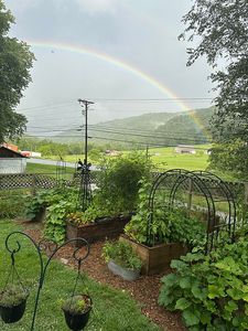 Property at 120 Lowell Stalcup Rd, Butler, TN