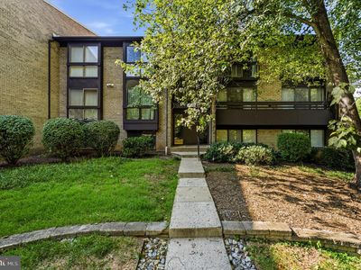 11561 Rolling Green Ct Unit 13/201C
