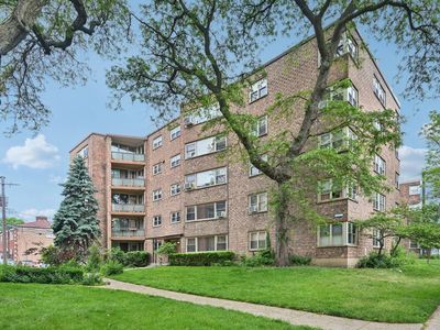 2142 W Rosemont Ave APT 1A