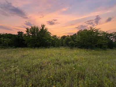 316 County Road 458