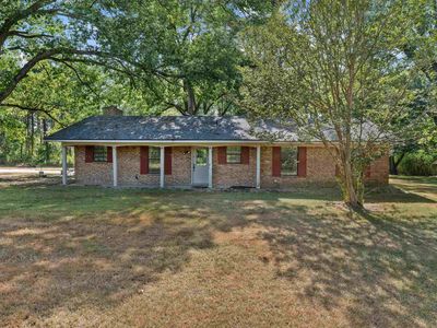 271 County Road 203