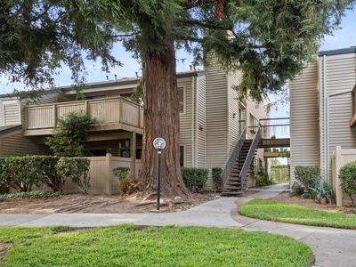 2280 Hurley Way APT 6