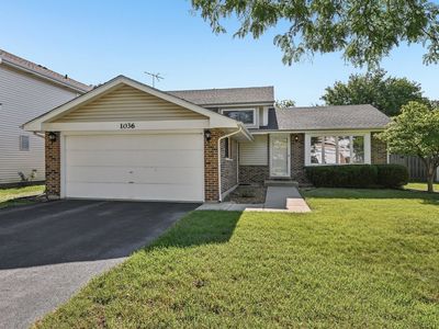 1036 E Meadow Lake Dr