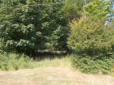 Property at 0 Morris Road, Randle, WA
