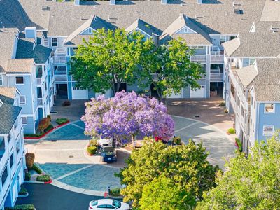 902 Sunrose Ter APT 104