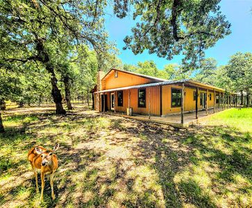 Property at 286 County Road 271, Tuscola, TX