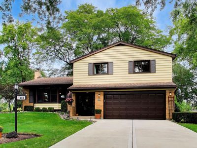 1608 E Jonquil Ter