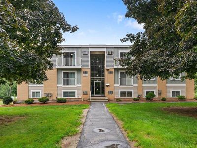 11A Constitution Drive #11A