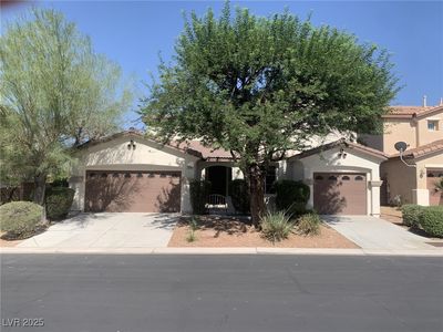 3328 White Bark Pine St