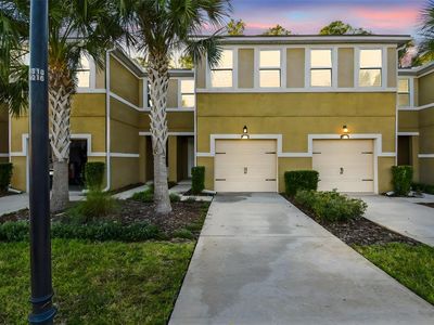 17856 Althea Blue Pl