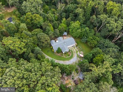 58 Branchy Rd