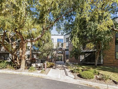 10 Windsor Ct APT 213