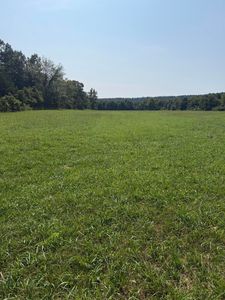 1189 County Road 428