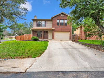 7502 Beaver Tree