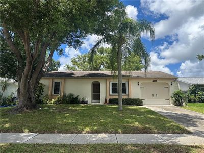 2560 ELDERBERRY DRIVE