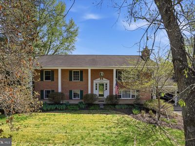 36929 Basswood Ct