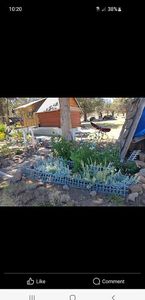 17703 Fishhole Creek Rd