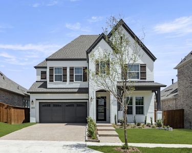 Wellman Plan, Aster Park