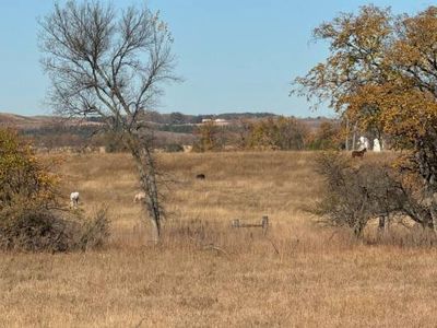 60/- Acres Gibbs Ter