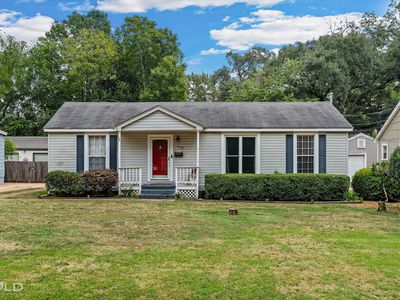 119 Albert Ave
