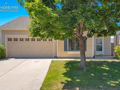 675 Prairie Star Cir