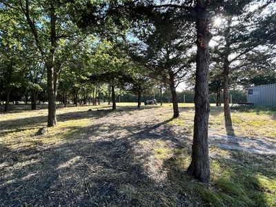358 County Road 4519