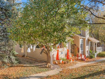 6818 Zenobia Street #2