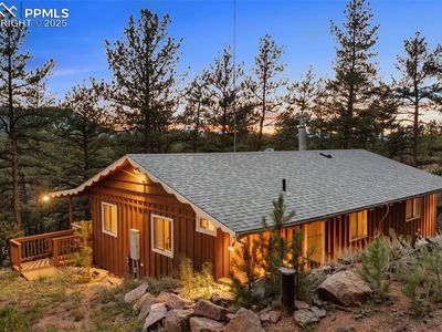 117 Reed Dr