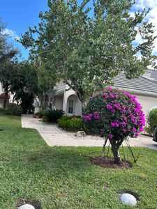 5203 N Lake Catalina Drive #B