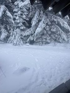 12575 Buck Mountain Rd