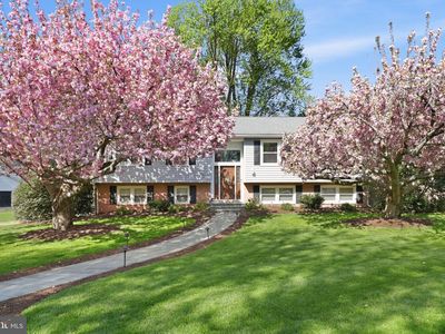 10106 Nadine Dr