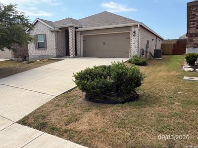 5534 Black Walnut